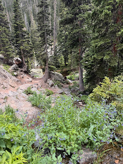 Rest Days and Rocky Mountain Adventures